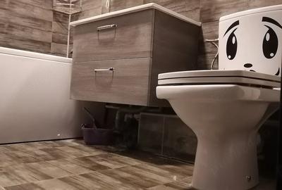 Apartament cu 3 camere decomandat, mobilat în Aradului - 5