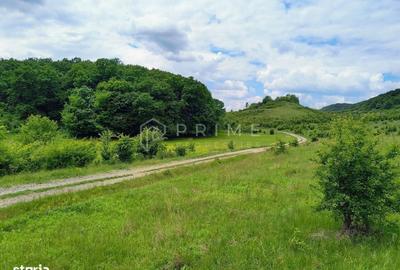 Spațiu comercial, în Corunca - 6