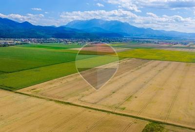 Teren agricol extravilan de 20000 mp, în Cristian