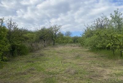 Casă cu 4 camere în Uileacu de Munte