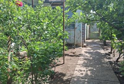 Casă individuală cu 3 camere cu Teren 585 Mp în Vălcani - 10