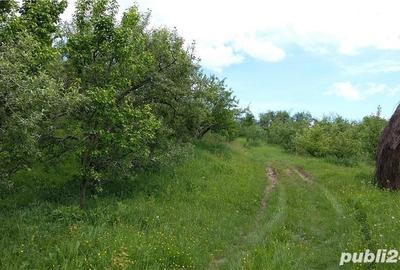 Teren de 20000 mp, în Gura Bărbulețului