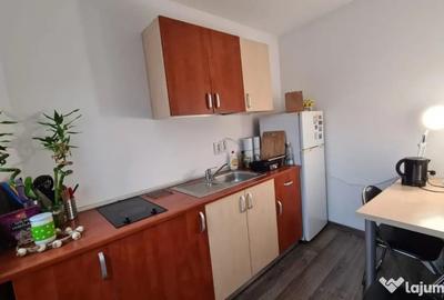 Apartament cu 2 camere semidecomandat, mobilat în Eminescu - 7