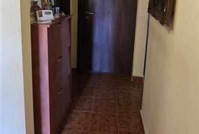 Apartament cu 3 camere decomandat, mobilat în Aradului - 4