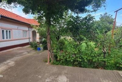 Casă cu 4 camere în Zilișteanca