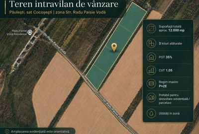 Teren Construcții intravilan de 12000 mp, în Păulești - 1