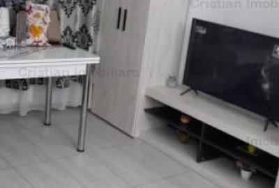 Apartament cu 2 camere semidecomandat, mobilat în Viziru 3