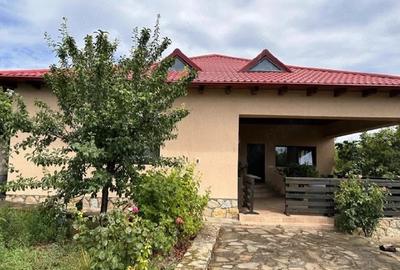 Casă cu 4 camere cu Teren 1700 Mp în Pietroasele - 3