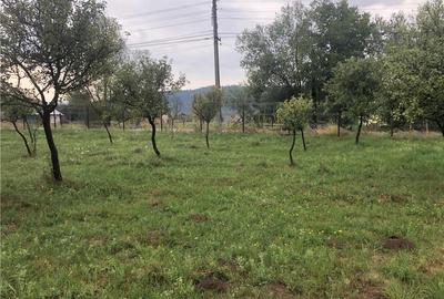 Teren de 1000 mp, în Valea Mare - 2