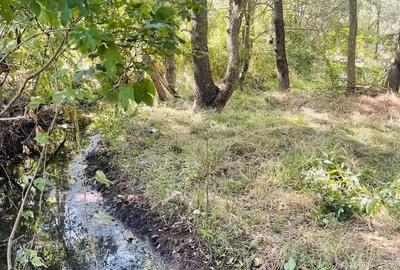 Teren de 5000 mp, în Valea Părului - 10