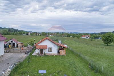 Teren Construcții intravilan de 2551 mp, în Acriș - 2