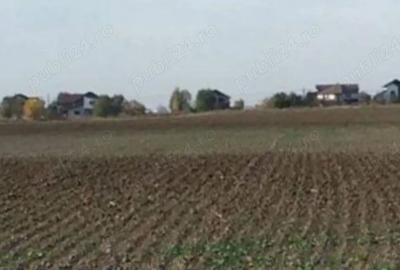 Teren de 4900 mp, în Căciulați - 2