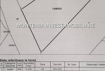 Spațiu comercial, de 1,155 mp, în Albota - 1
