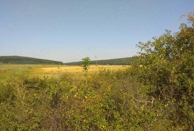 Teren de 5800 mp, în Suseni - 7