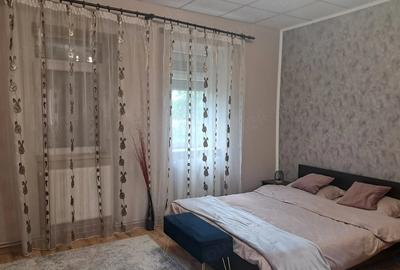 Casă cu Teren 2049 Mp în Bazoș - 10