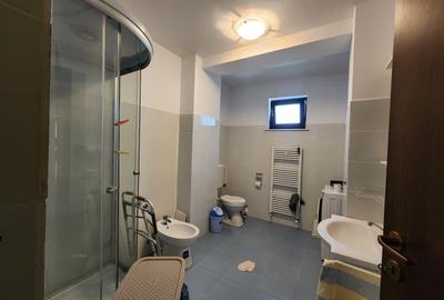 Apartament cu 2 camere decomandat, mobilat în Nicolina - 7