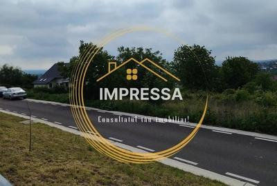 Spațiu comercial, în Ipotești
