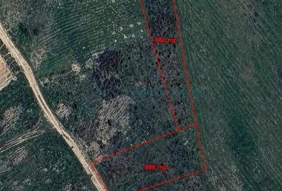 Teren de 1546 mp, în Sânmartin - 1