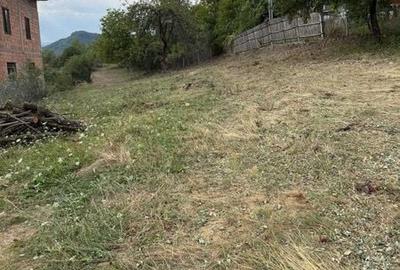 Teren de 5000 mp, în Berislăvești