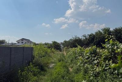 Teren de 500 mp, în Malu Mare - 3