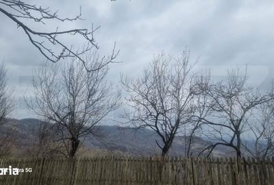 Teren de 3781 mp, în Izvoarele - 6