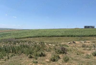Teren de 5331 mp, în Sfântu Ilie - 2