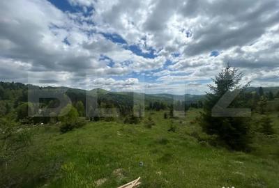 Teren în Moroeni