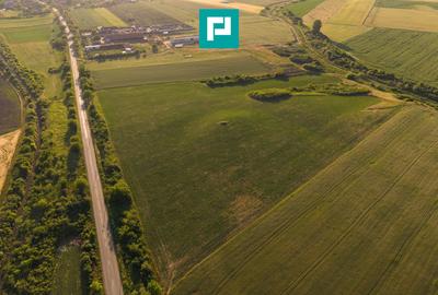 Teren agricol extravilan de 42200 mp, în Secusigiu - 9