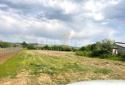 Teren de 3176 mp, în Valea Călugărească