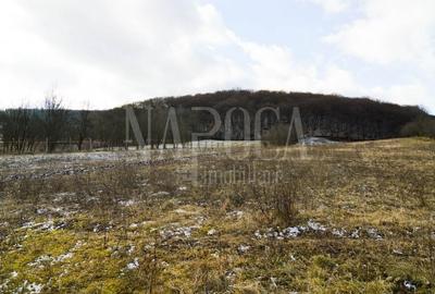 Teren Construcții extravilan de 6300 mp, în Popești - 3