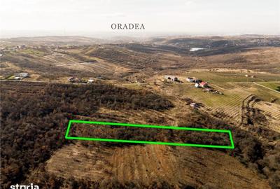 Teren de 3714 mp, în Paleu - 6