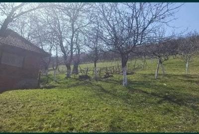 Casă cu 4 camere în Câmp