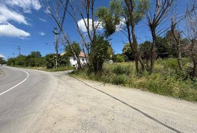 Teren Construcții intravilan de 1000 mp, în Cisnădioara - 5