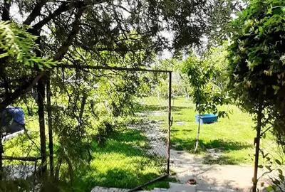 Casă cu 4 camere cu Teren 1101 Mp în Becicherecu Mic