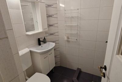 Apartament cu 3 camere, mobilat în Nicolae Grigorescu - 6