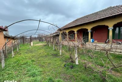 Casă cu 3 camere cu Teren 810 Mp în Năsturelu