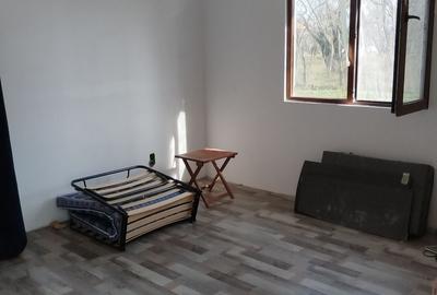 Casă cu 3 camere cu Teren 5800 Mp în Central - 3