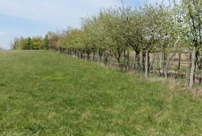 Teren Construcții extravilan de 7200 mp, în Grajduri - 6