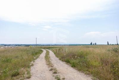 Teren Construcții intravilan de 733 mp, în Sânpetru - 10