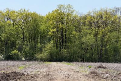Teren Construcții intravilan de 500 mp, în Tunari - 7
