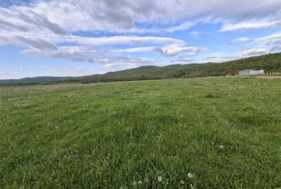 Teren de 923 mp, în Periferie