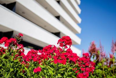 Apartament cu 2 camere semidecomandat în Zorilor - 8