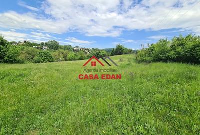Teren de 4355 mp, în Turnătorie