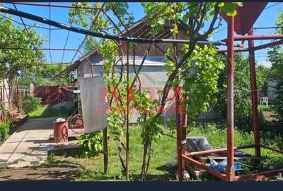 Casă cu 1 camere în Central