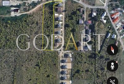 Teren Construcții intravilan de 5291 mp, în Viforâta