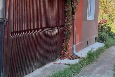 Casă cu 5 camere în Central