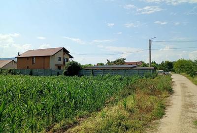 Teren de 4500 mp, în Batiz