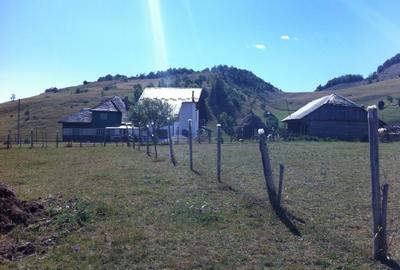 Teren Construcții intravilan de 1500 mp, în Șirnea - 8
