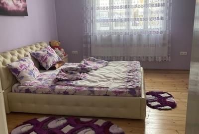Casă cu 3 camere în Viișoara - 1
