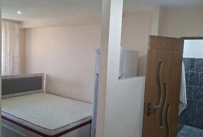 Garsonieră semidecomandată în Exterior Vest - 13